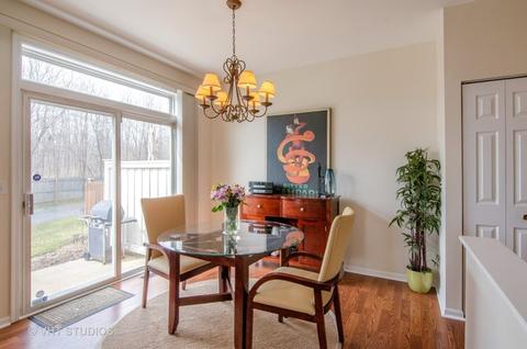 2108 Glacier Ct, Algonquin, IL 60102 photo 6