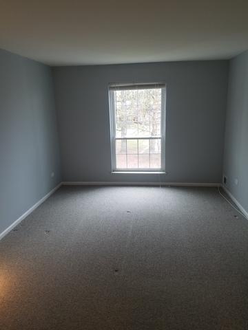 5500 Carriageway Dr #203C, Rolling Meadows, IL 60008 photo 7