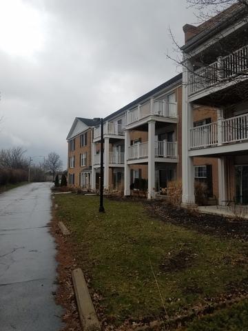 5500 Carriageway Dr #203C, Rolling Meadows, IL 60008 photo 11