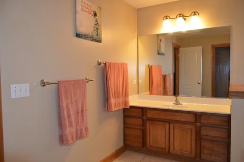 1080 Grayhawk Dr, Algonquin, IL 60102 photo 21