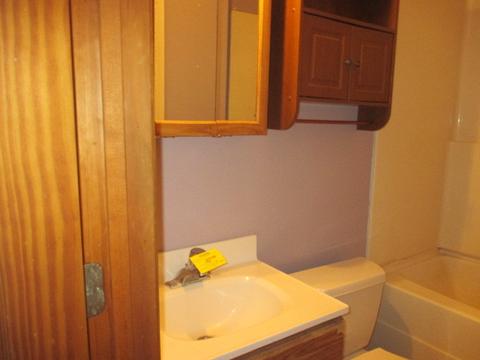 11070 River Rd, Plano, IL 60545 photo 12