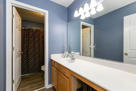6901 Sahara Dr, Plainfield, IL 60586 photo 27