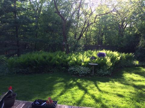 2 Danube Way, Olympia Fields, IL 60461 photo 25