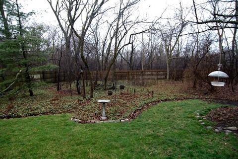 2 Danube Way, Olympia Fields, IL 60461 photo 24