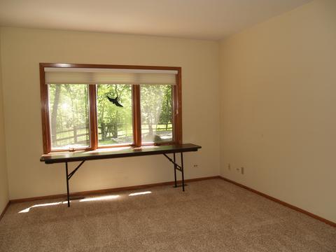 11622 87th St, Burr Ridge, IL 60527 photo 55