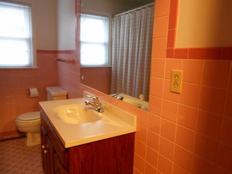 1036 School St, Kankakee, IL 60901 photo 23