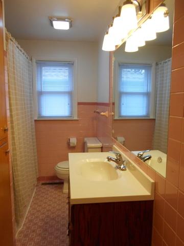 1036 School St, Kankakee, IL 60901 photo 24
