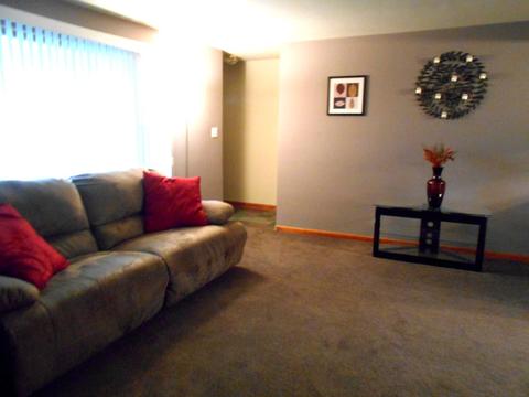 1036 School St, Kankakee, IL 60901 photo 12