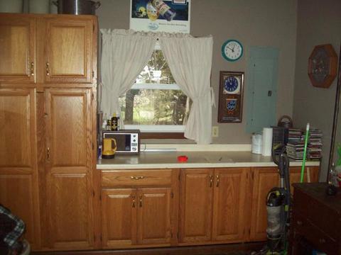 177 Atkinson Rd, Walnut, IL 61376 photo 13