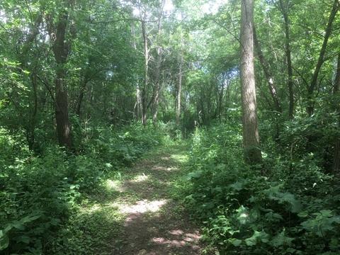 14618 Hebron Rd, Harvard, IL 60033 photo 35