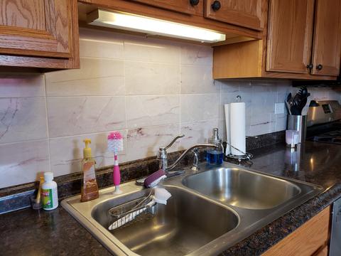 581 Radcliffe Ave, Des Plaines, IL 60016 photo 6
