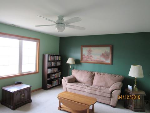 291 Spring Cove Dr, Beecher, IL 60401 photo 9
