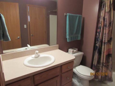 291 Spring Cove Dr, Beecher, IL 60401 photo 4