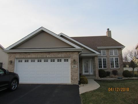 291 Spring Cove Dr, Beecher, IL 60401 photo 1