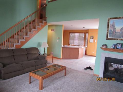 291 Spring Cove Dr, Beecher, IL 60401 photo 7