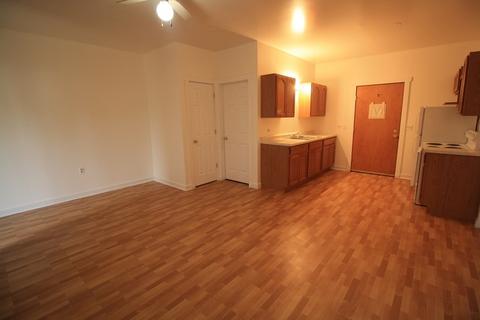 106 E Parker St, Gardner, IL 60424 photo 11