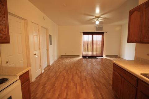 106 E Parker St, Gardner, IL 60424 photo 9