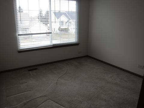 1129 Clover Hill Ln, Elgin, IL 60120 photo 13