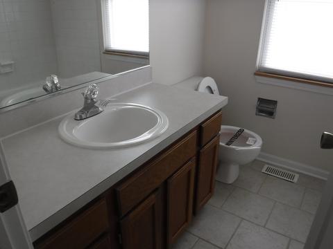 1129 Clover Hill Ln, Elgin, IL 60120 photo 11