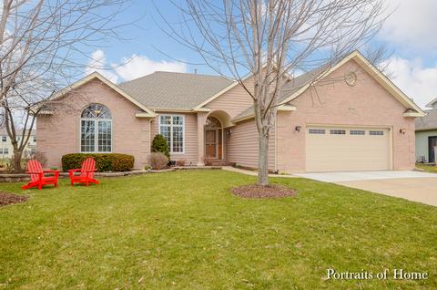 1111 Julia Ln, Plano, IL 60545 photo 1