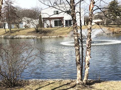 712 Sutton Cir, Wheeling, IL 60090 photo 22