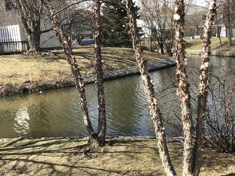 712 Sutton Cir, Wheeling, IL 60090 photo 21