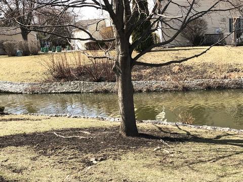 712 Sutton Cir, Wheeling, IL 60090 photo 20