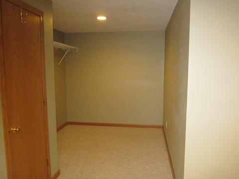 535 Autumnwolf Dr, Davis Junction, IL 61020 photo 19