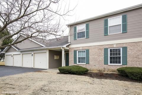 1003 Radclyffe Ct #D, Elgin, IL 60120 photo 1