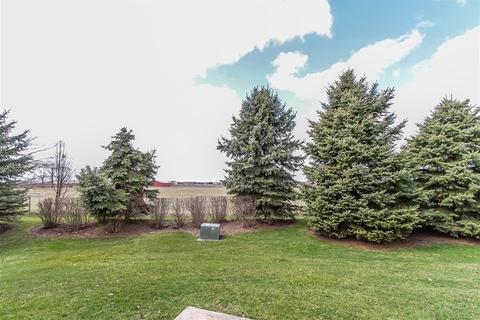 24242 Leski Ln, Plainfield, IL 60585 photo 20