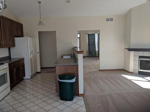 2019 Sedgegrass Trl, Aurora, IL 60504 photo 14