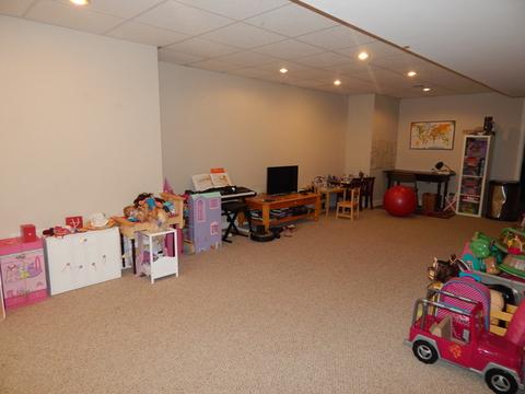 24012 Norfolk Ln, Plainfield, IL 60585 photo 24