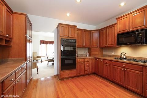 20033 Mohawk Trl, Olympia Fields, IL 60461 photo 4