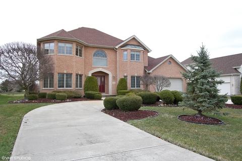 20033 Mohawk Trl, Olympia Fields, IL 60461 photo 1