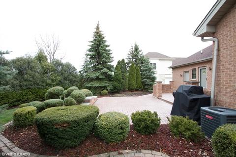 20033 Mohawk Trl, Olympia Fields, IL 60461 photo 20