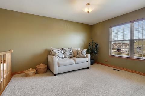 15938 S Arbor Dr, Plainfield, IL 60586 photo 13
