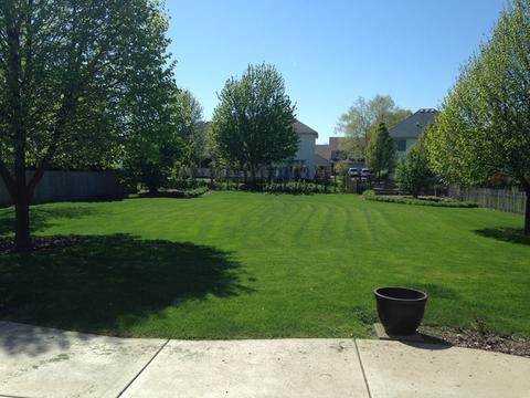 15938 S Arbor Dr, Plainfield, IL 60586 photo 29