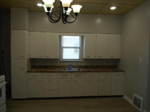 226 W Devlin St, Spring Valley, IL 61362 photo 9