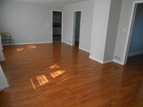 226 W Devlin St, Spring Valley, IL 61362 photo 3