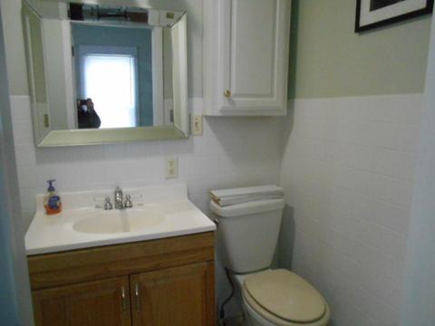 226 W Devlin St, Spring Valley, IL 61362 photo 5