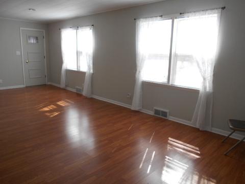 226 W Devlin St, Spring Valley, IL 61362 photo 6