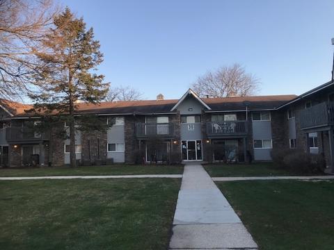 16 W655 Mockingbird Ln #101, Willowbrook, IL 60527 photo 3