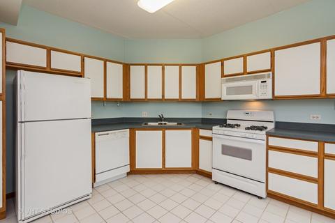 3100 Town Square Dr #207, Rolling Meadows, IL 60008 photo 5