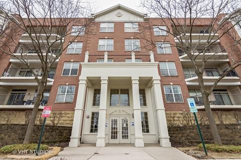 3100 Town Square Dr #207, Rolling Meadows, IL 60008 photo 1