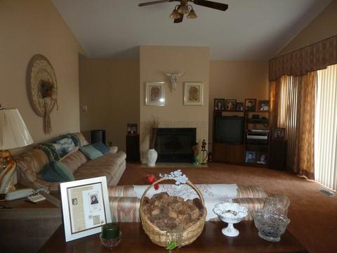 21242 Silktree Cir, Plainfield, IL 60544 photo 4