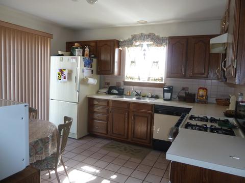 21242 Silktree Cir, Plainfield, IL 60544 photo 8