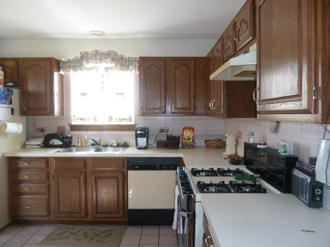 21242 Silktree Cir, Plainfield, IL 60544 photo 10