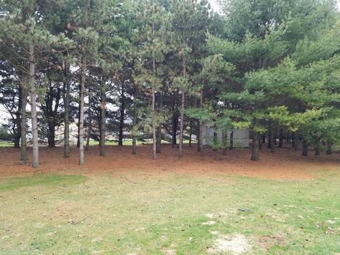 901 E 35th St, Sterling, IL 61081 photo 24