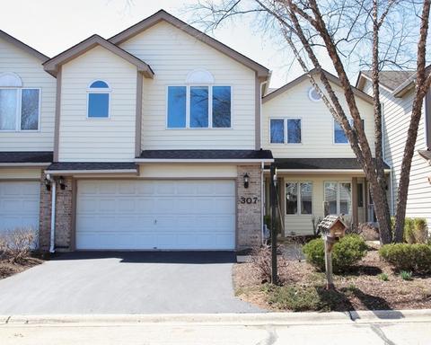 307 Camarie Ct, Naperville, IL 60540 photo 7