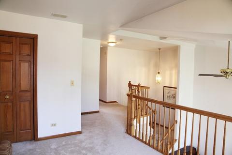 307 Camarie Ct, Naperville, IL 60540 photo 20